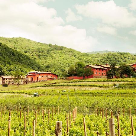 Agriturismo L'Uva E Le Stelle Faedis Exterior foto