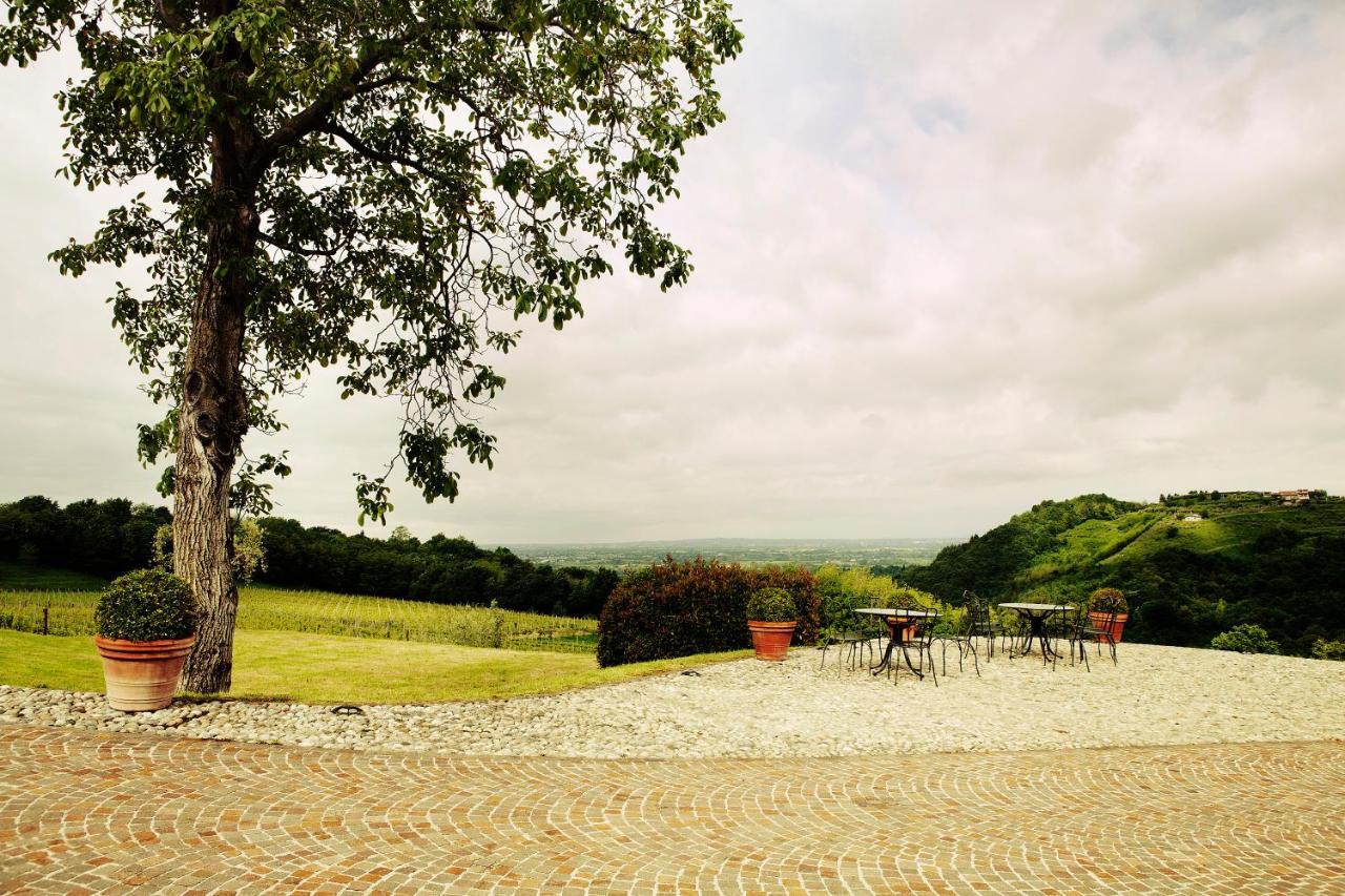Agriturismo L'Uva E Le Stelle Faedis Exterior foto